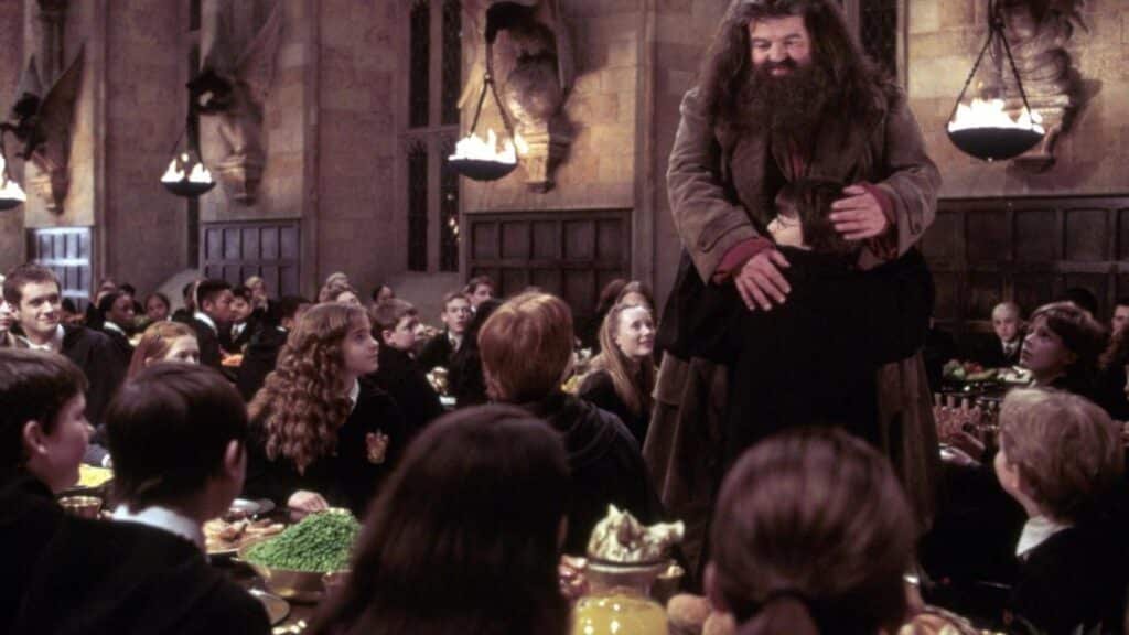 How Old Was Robbie Coltrane In Harry Potter?